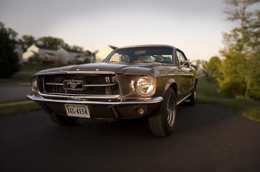 5 67 Mustang, ford mustang vintage HD wallpaper