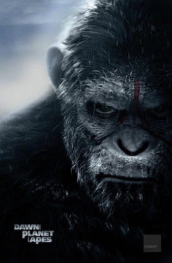 Caesar planet of the apes HD wallpapers | Pxfuel