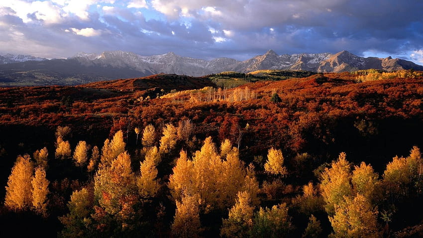 Drzewa, piękne, góry Kanada, Organic, Dual, jesień Kanada Tapeta HD