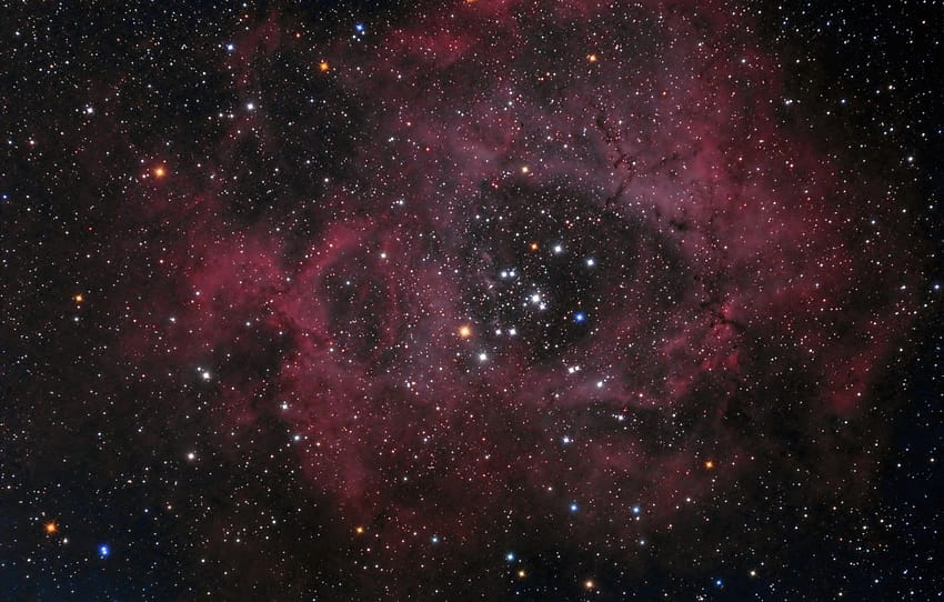 Jednorożec w gwiazdozbiorze Mgławicy Rozeta, mgławica Tapeta HD