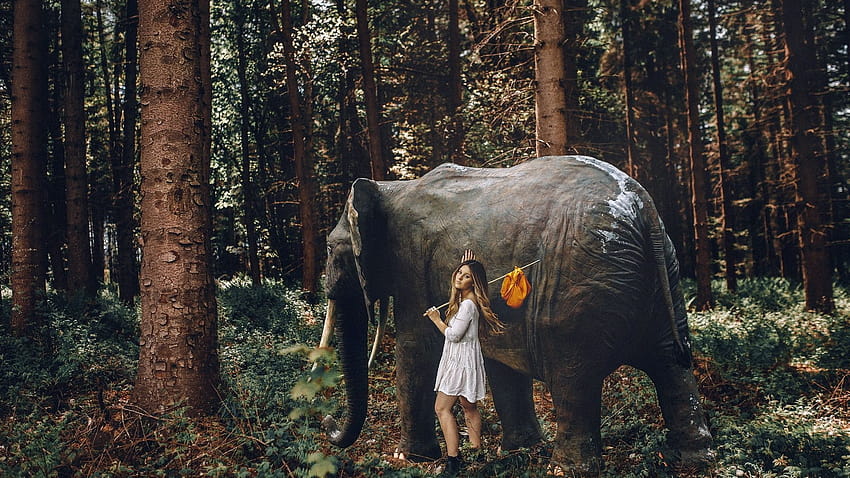 Girl and elephant in the forest 1920x1200 , elephant trees forest HD wallpaper