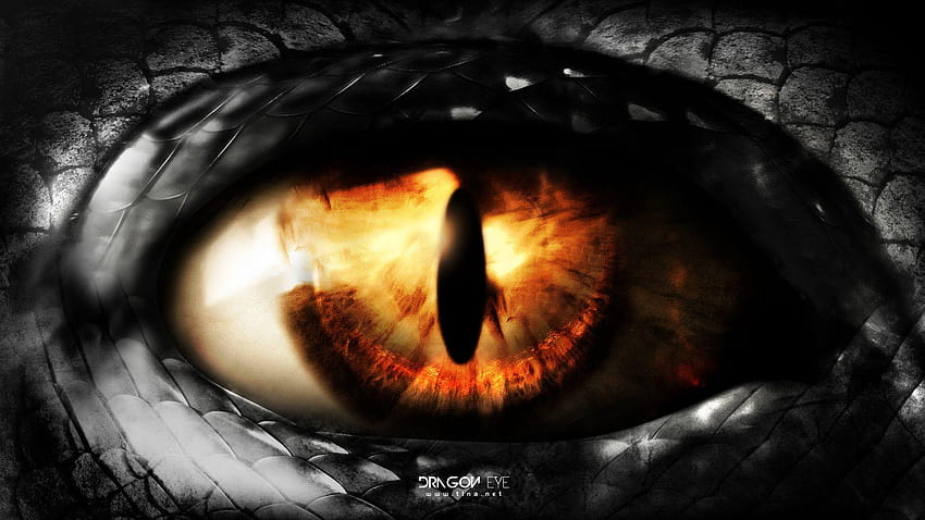 30400 Dragon Eyes Stock Photos Pictures  RoyaltyFree Images  iStock  Dragon  eyes vector