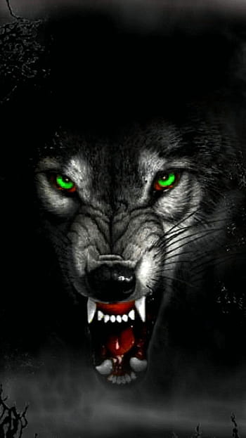 wolf angry face