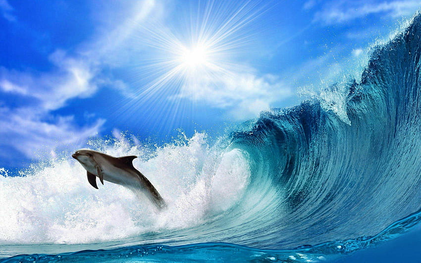 Dolphin For Mobile 3D, dolphin 3d HD wallpaper | Pxfuel