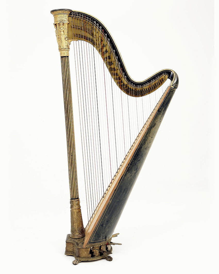All about Harp Attorney Page Harp Home Page, zither HD phone wallpaper