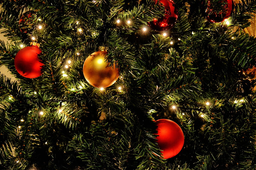 Cây thông Noel xanh tươi với những quả cầu đỏ rực rỡ tạo nên một không gian lộng lẫy và đầy sự ấm cúng trong dịp Giáng sinh. Bức hình sẽ đem đến cho bạn cảm giác hân hoan, phấn khởi và thật sự tận hưởng không khí lễ hội này.