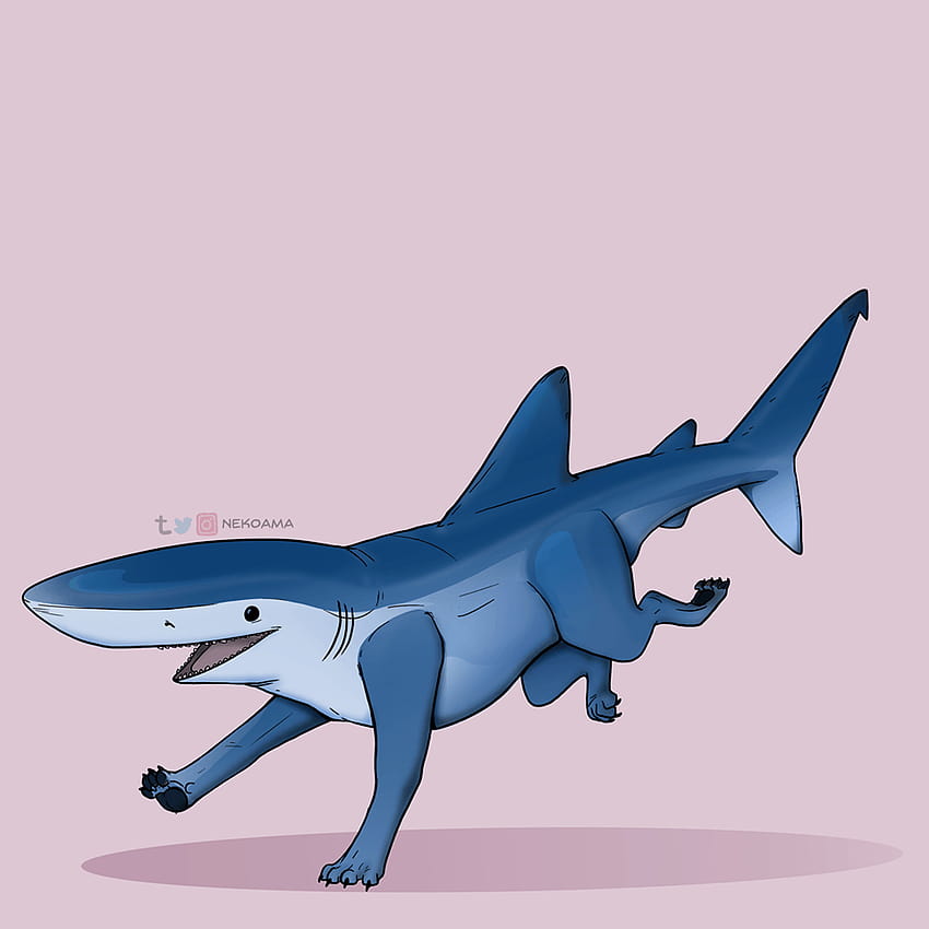 Cute Shark, baby shark aesthetic HD phone wallpaper