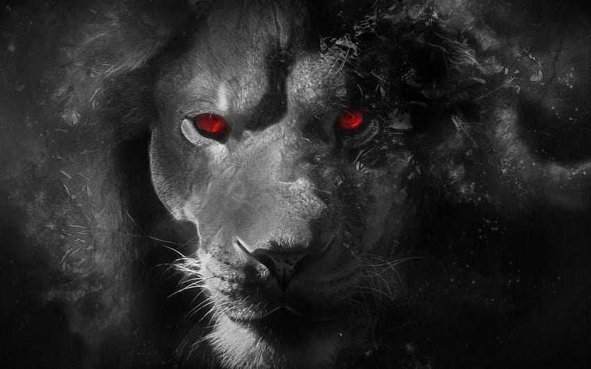 สิงโตขาวดำตาแดง วอลล์เปเปอร์ HD