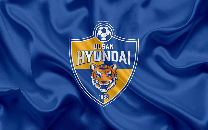 Ulsan Hyundai FC, silk flag, logo, emblem HD wallpaper