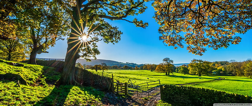 Beau paysage de campagne nature en Angleterre ❤, europe rurale Fond d'écran HD