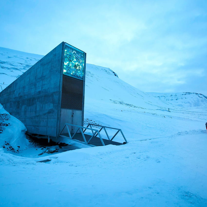 Upgraded doomsday vault gets new seed deposits HD phone wallpaper