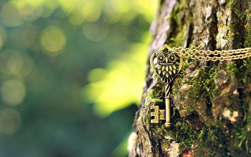 green, Owl, Keys, Chains, Depth of field, graphy / and Mobile Backgrounds HD wallpaper
