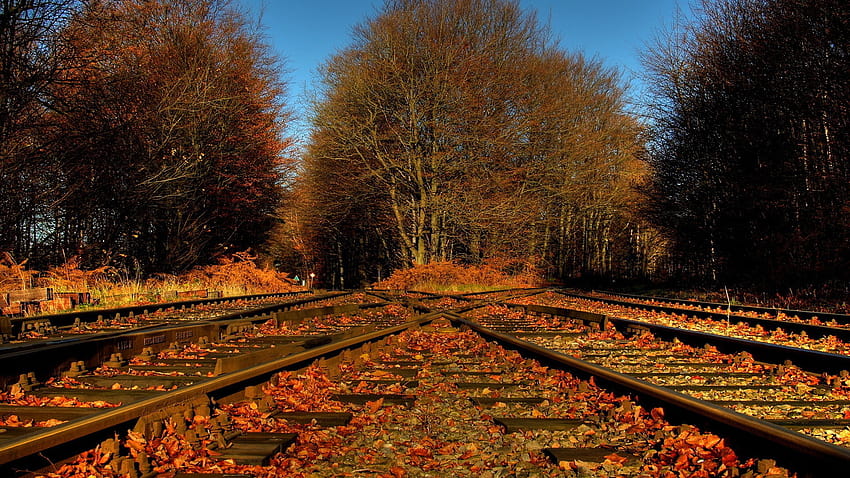 6046897 / 1920x1080 railway, autumn, leaves, nature, autumn train 1920x1080 HD wallpaper