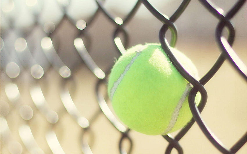 Tennis Ball and Racket 59880 2048x1536px HD wallpaper | Pxfuel