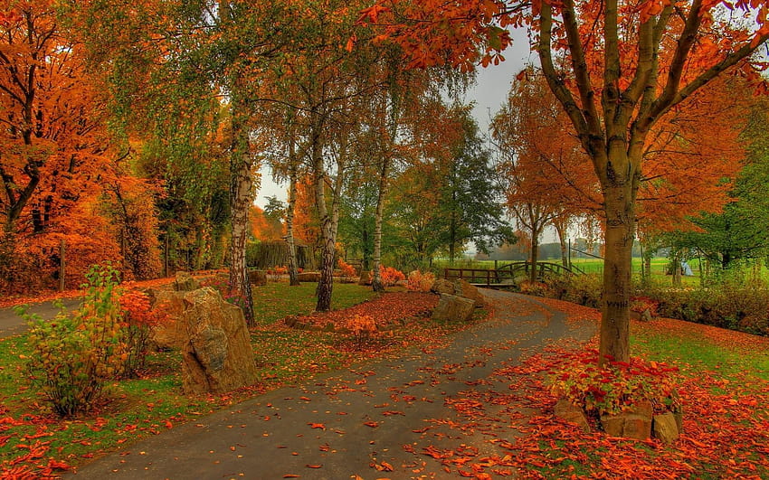 Park in fall, park in the fall HD wallpaper | Pxfuel