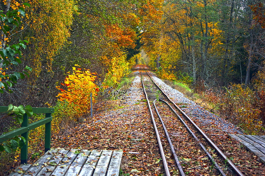 : railroad, autumn, train, rail, uppsala, musai, l nnakatten, canoneos450, musaij rnv g 4272x2848, autumn train track HD wallpaper