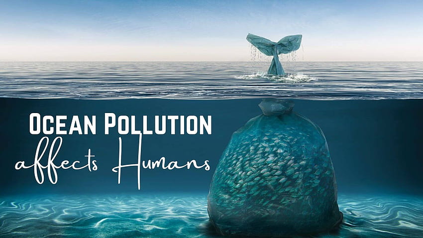 Infografica marittima: in che modo l'inquinamento degli oceani influisce sugli esseri umani, l' Sfondo HD