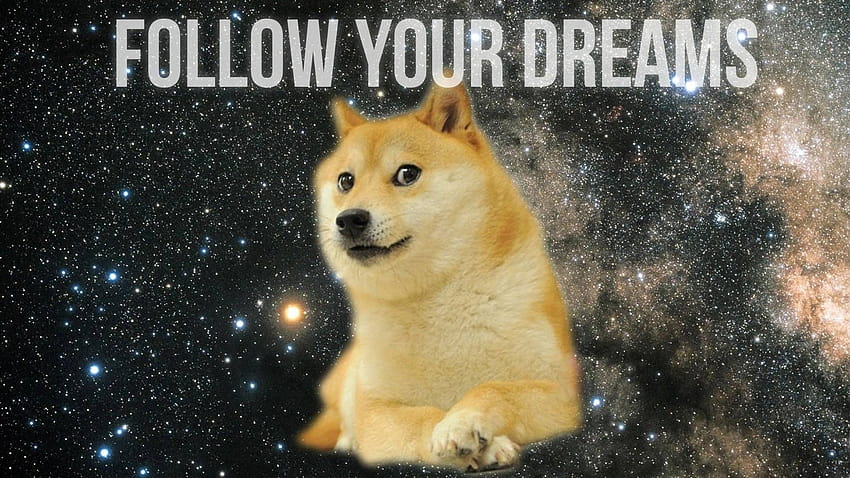 10 Cool Doge In, galaxy doge HD wallpaper