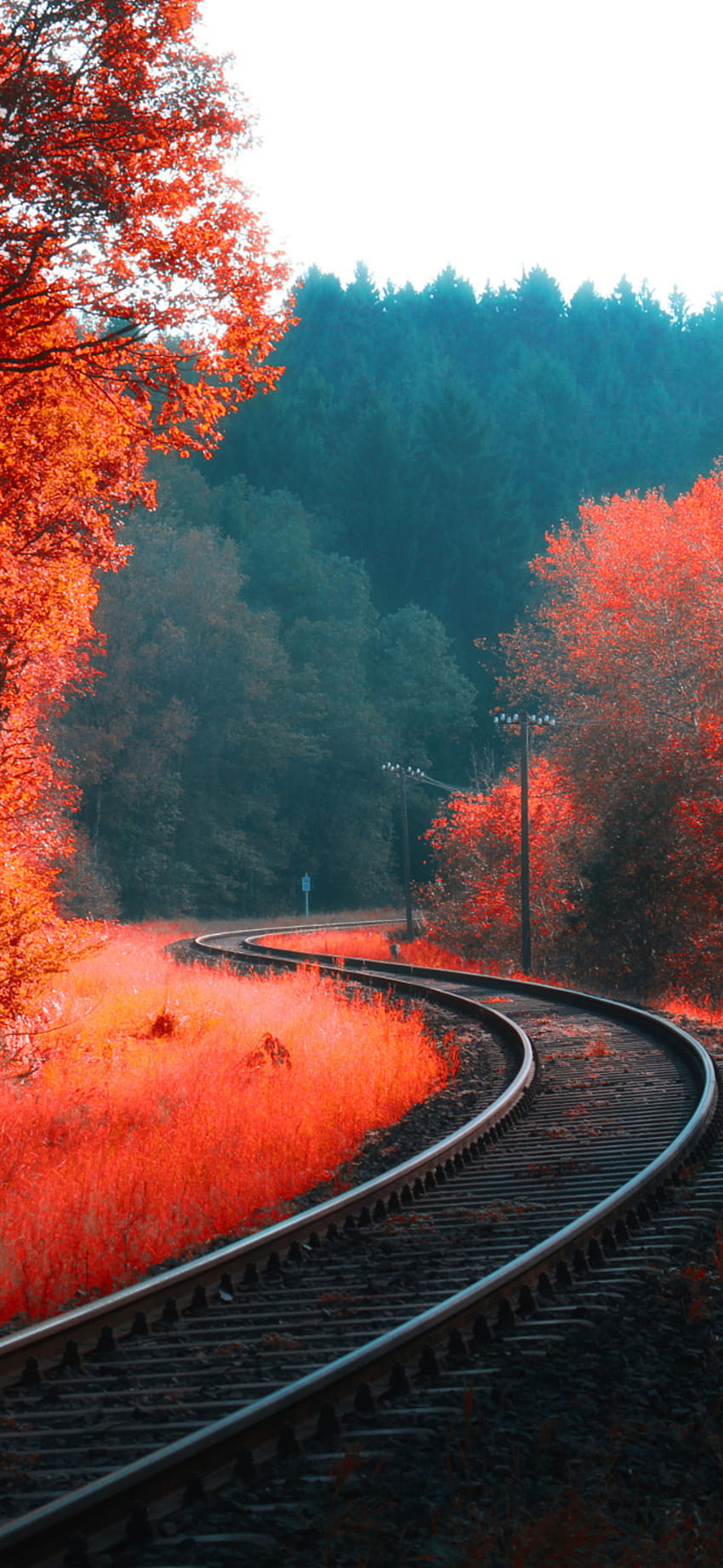 1125x2436 Railway Autumn Forest Iphone XS,Iphone 10,Iphone X , Backgrounds, and, autumn forest mobile HD phone wallpaper