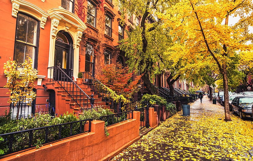 New York City Fall, city view autumn HD wallpaper