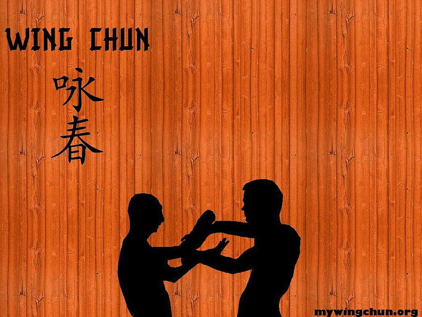 southern wing chun warriors – Accomplishment uses diligence as a goal HD wallpaper