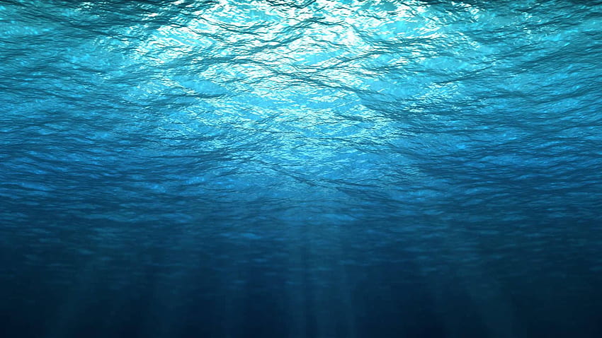Под вода, рай под морето HD тапет