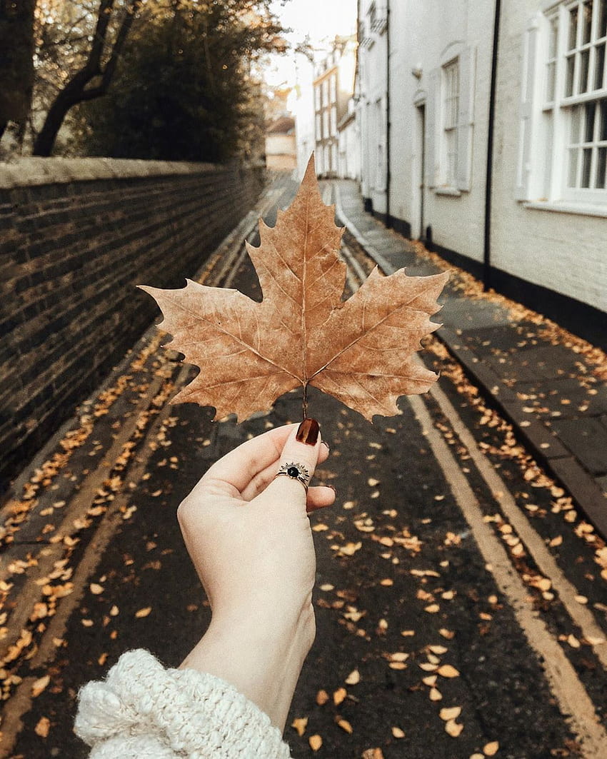 Polly Florence on Instagram: “Out of all of the beautiful things autumn brings, florence autumn HD phone wallpaper
