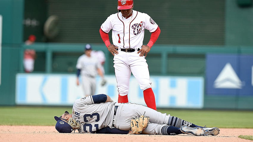 Fernando Tatis Jr by Bobby Alcid Rubio