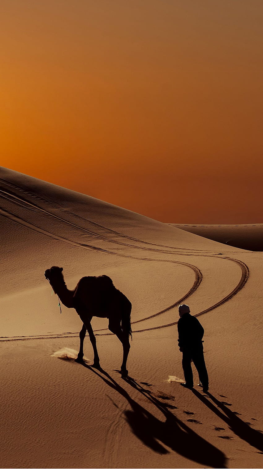 iPhone camello, desierto árabe iphone x fondo de pantalla del teléfono
