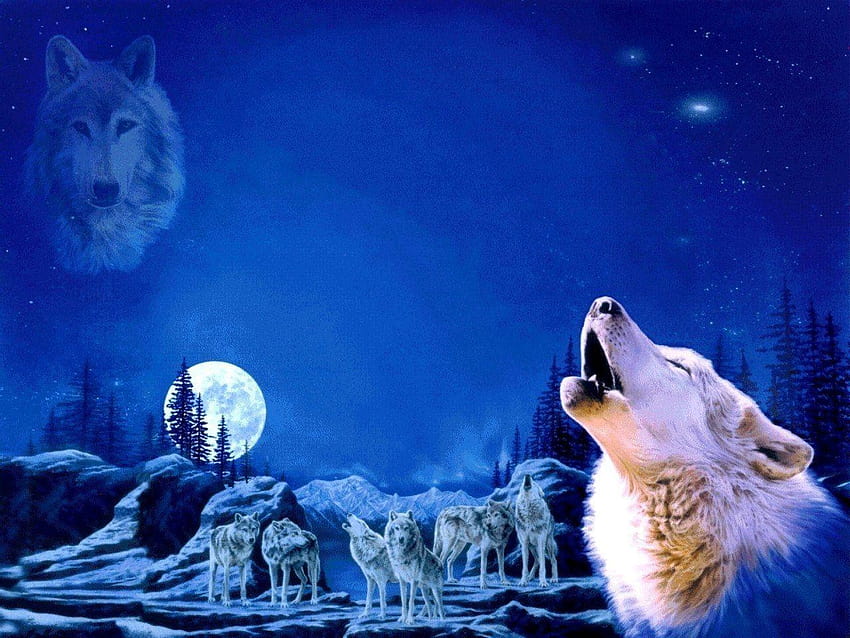 Wolf Pack Howling Wallpaper