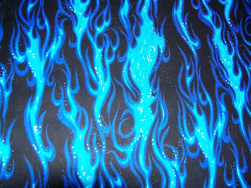 Blue Kindle Fire on Dog HD wallpaper