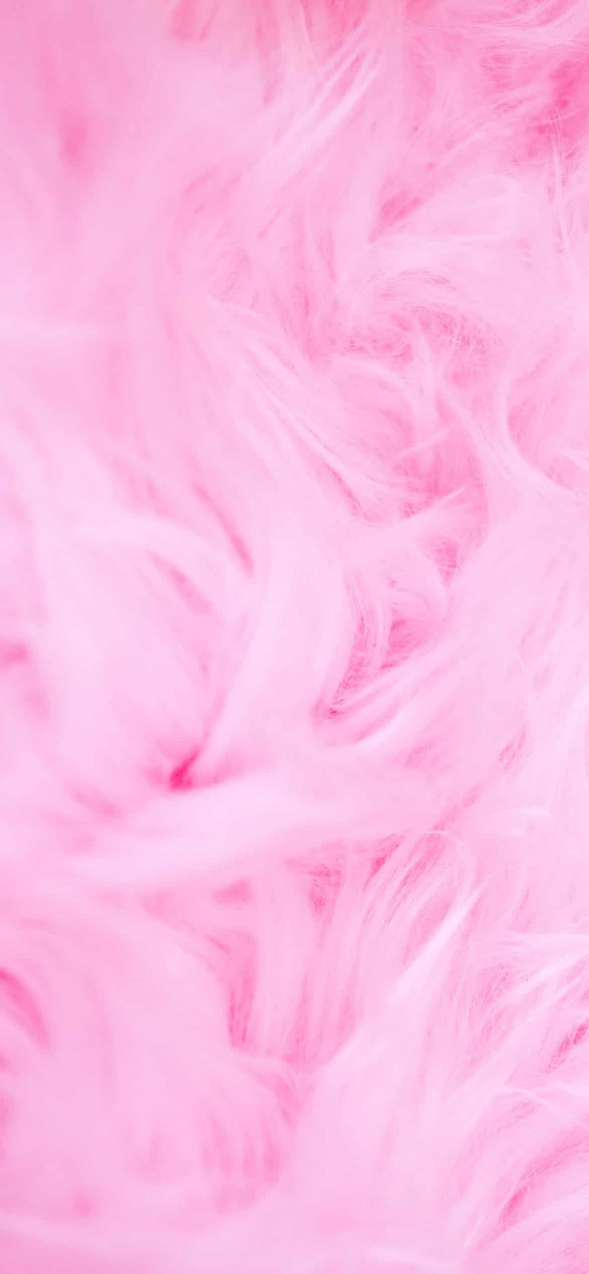45 sfondi estetici rosa di cui hai bisogno per il tuo telefono in questo momento!, iphone pink Sfondo del telefono HD