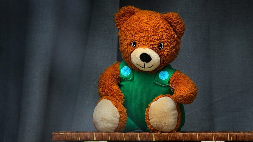 Here's Why You Should Put a Teddy Bear in Your Window Right Now HD wallpaper