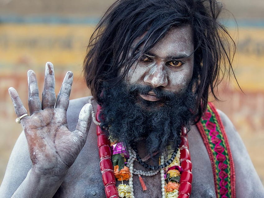 The House Of Vines, aghori baba HD wallpaper