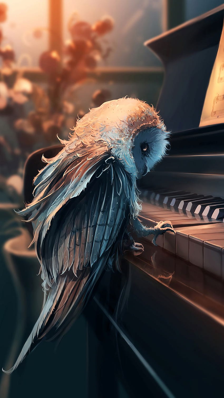 Owl, Piano, Art, Music HD phone wallpaper