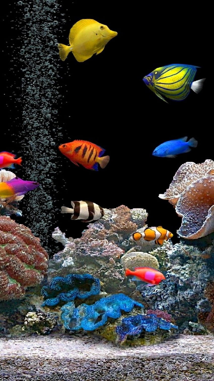 3D 水槽、生きている魚 HD電話の壁紙