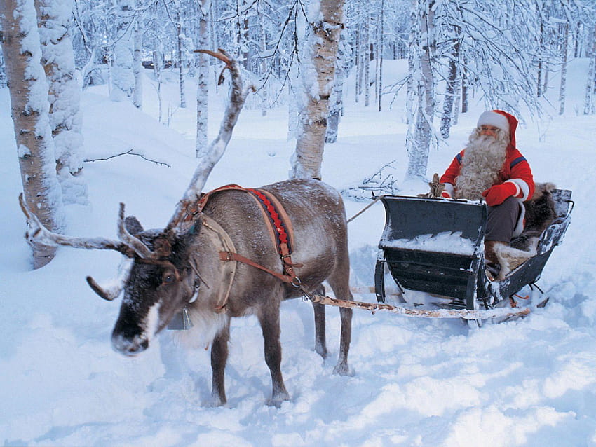Christmas Literacy Set for 4th, christmas reindeer and sleigh HD wallpaper