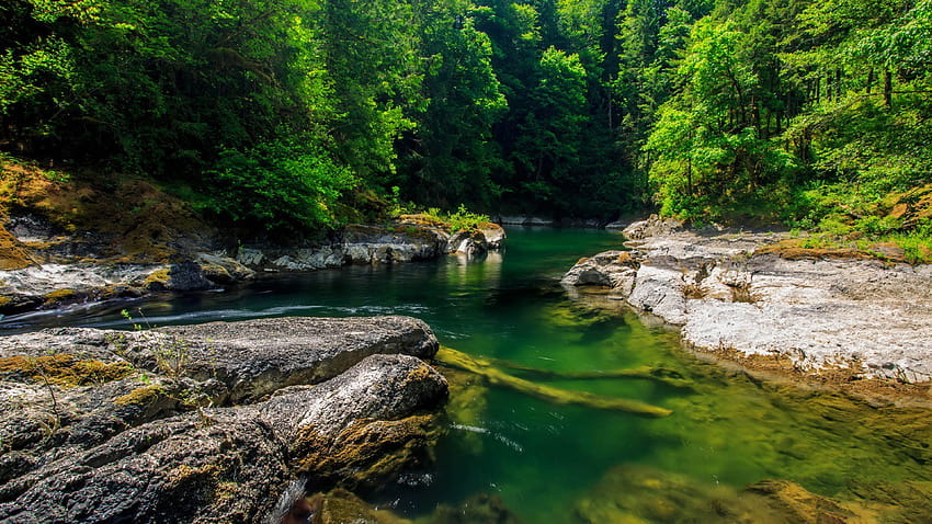Canada Mountain River Green Water Hutan Padat Dengan Pepohonan Rocky Coast Rocks Landscape 3840x2160 : 13 Wallpaper HD