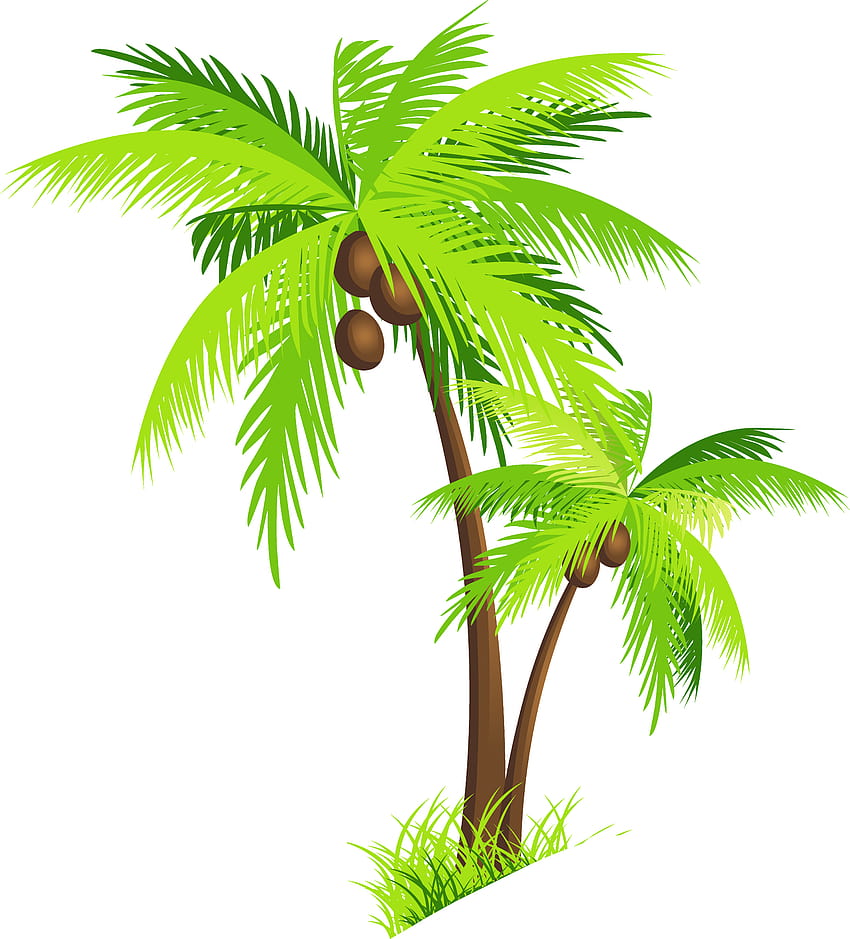 Coconut Tree Clipart, Coconut Tree Clipart png , ClipArts on Clipart Library HD phone wallpaper