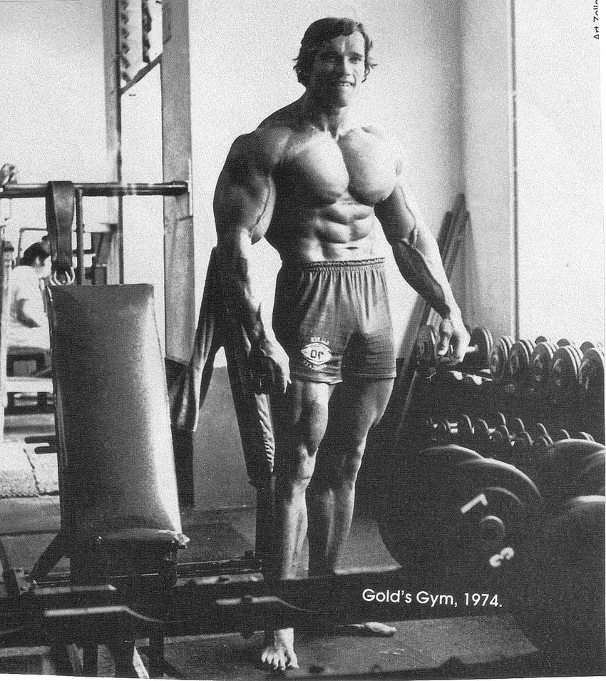 Arnold Schwarzenegger, Bodybuilding, Bodybuilder, Working out, arnold bodybuilding HD phone wallpaper