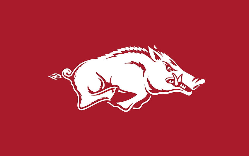 5 Arkansas Razorback for iPhone, vintage razorback HD wallpaper