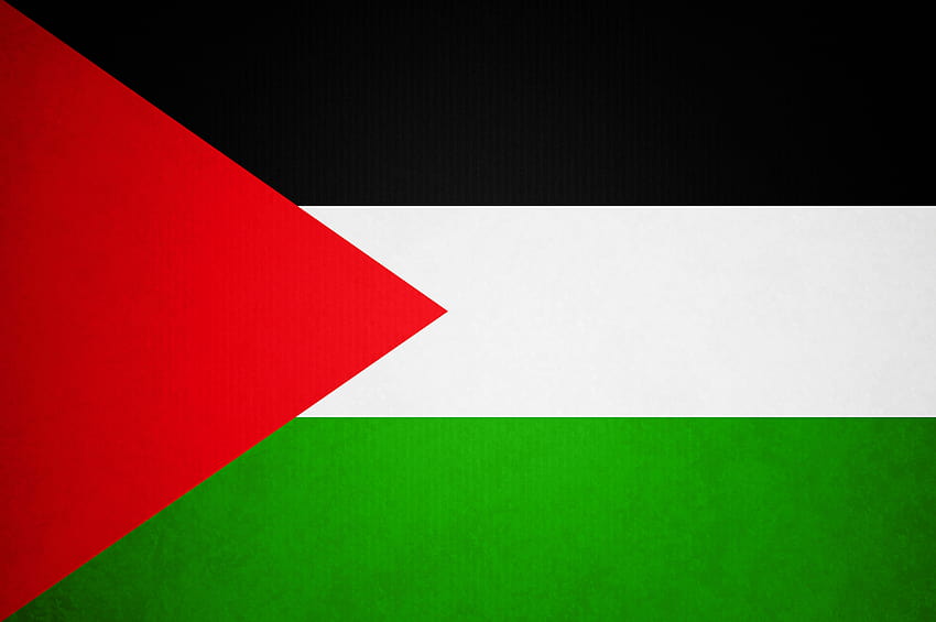 Прозрачен PNG флаг на Палестина, обичам знамето на Палестина HD тапет
