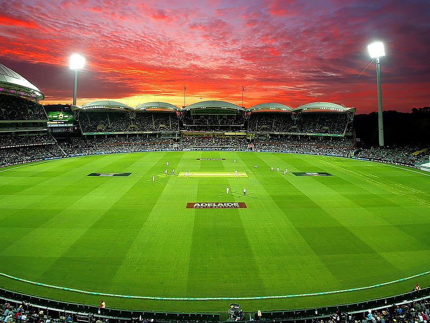 Cricket Stadium Night, campo de críquete papel de parede HD