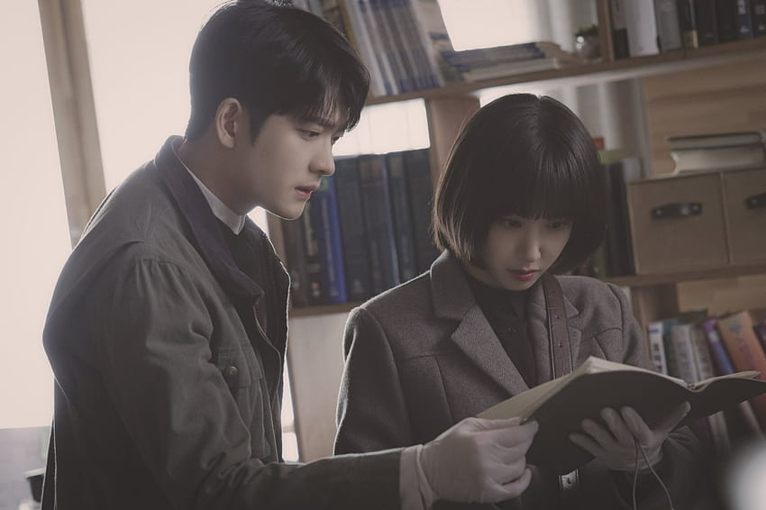 ¿El extraordinario abogado Woo' se centrará en el romance de Park Eun Bin y Kang Tae Oh? Esto es lo que dice el director, abogado extraordinario woo fondo de pantalla
