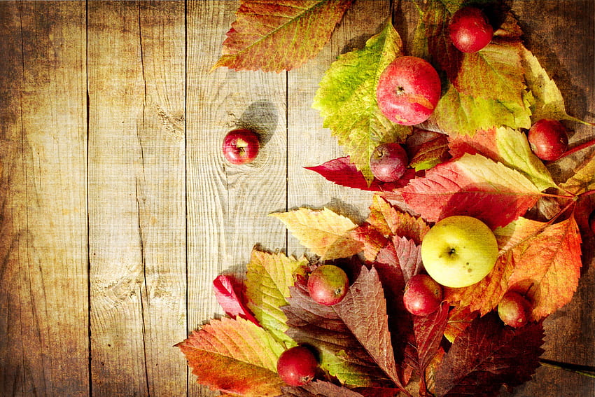 natureza, outono, folhas, frutas, frutas, maçãs, tabuleiro com resolução 3000x2000. Frutas de outono de alta qualidade papel de parede HD