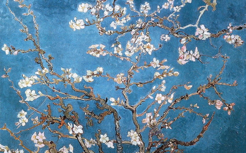 Almond Branches Van Gogh, almond tree HD wallpaper