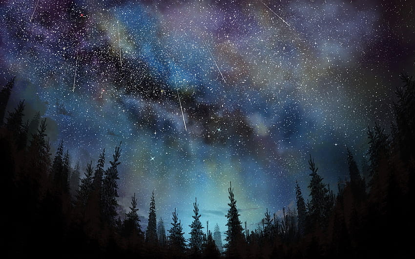 2880x1800 Sterne, Bäume, Himmel, Nacht für MacBook Pro 15 Zoll, Sterne bei Nacht HD-Hintergrundbild