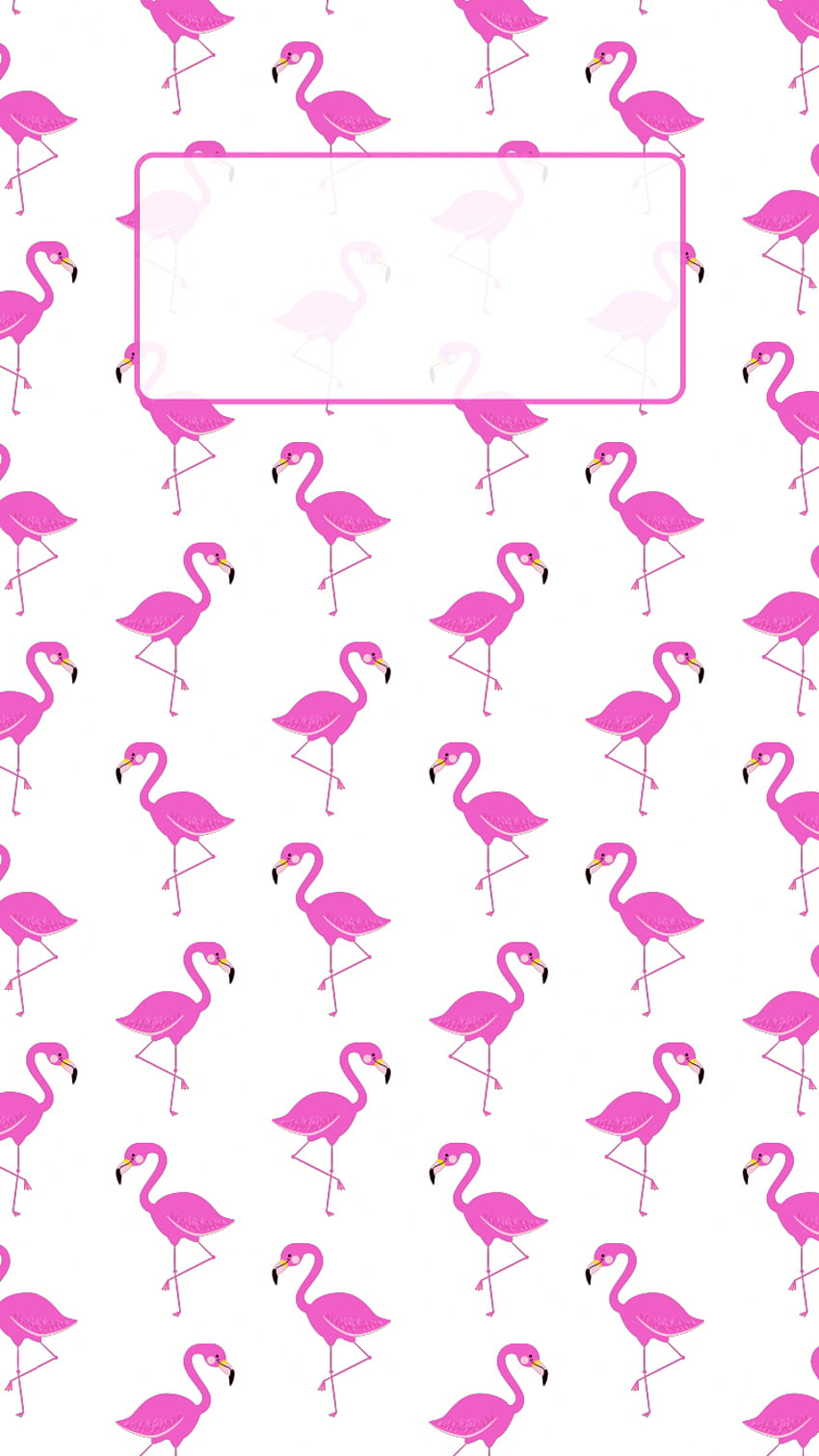 iPhone backgrounds cute girly pink summer flamingo, iphone summer girly HD phone wallpaper