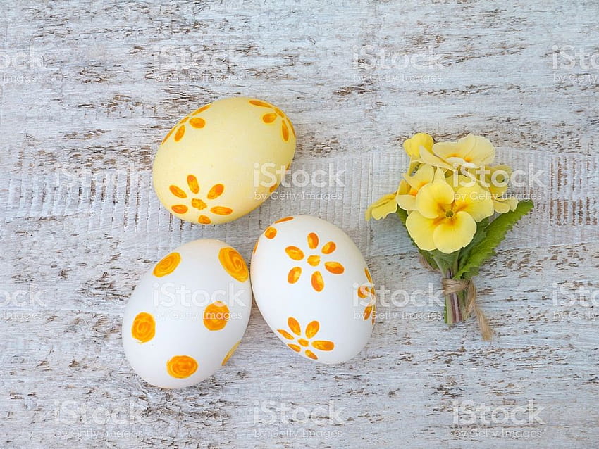 Easter Eggs And Yellow Primrose Bouquet Composition Stock HD wallpaper