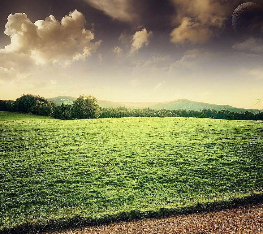 green ground green ground for android HD wallpaper